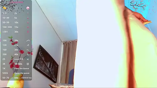 katha_Crawford Show Webcam