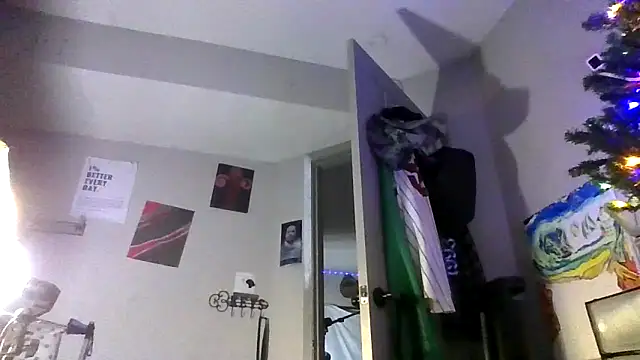 Triggerhappycj100 Show in webcam