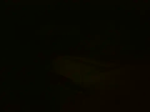 MakeMeCumAhh: διαδικτυακό σόου στην κάμερα