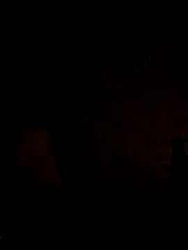 Petreliseev – webcam-show