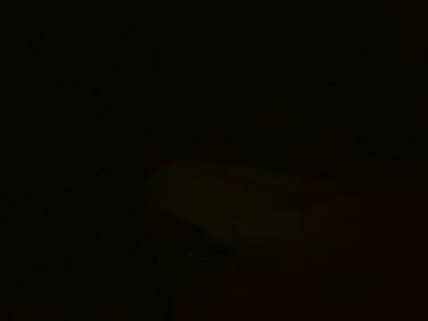 Chat XXX en directo de MakeMeCumAhh