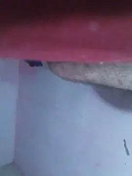 cobrosdepagos' Live XXX Chat