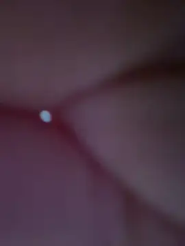 Jan_BettaのライブXXXチャット