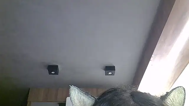 SkinnyKitten webkamerás műsora