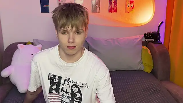 Show Webcam de metarion