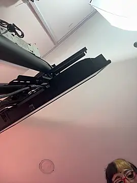 MeowMota_ Pertunjukan Webcam