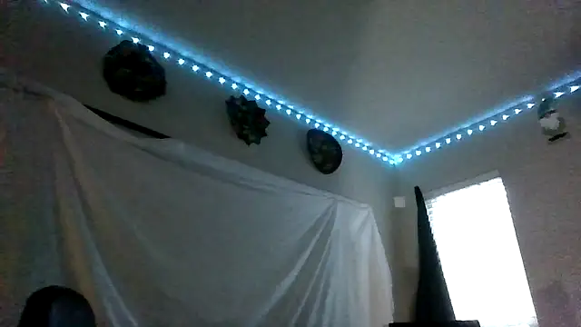 Show Webcam de Triggerhappycj100