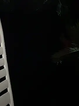 Pertunjukan Kamera Web LAURA_VANESA