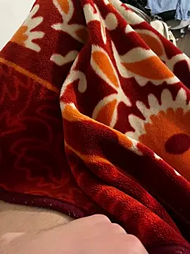 عرض كام ditywild