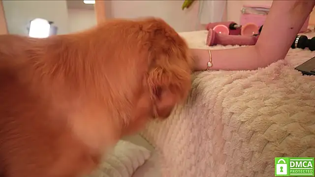 gabriela__gomez Obrolan Langsung XXX