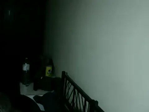 Show webcam de 100Tauros