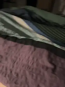 dom2006evt webcam show