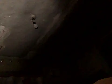 Živý XXX chat ChantalXOrchid