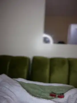 ScarletMuseX 网络视讯表演