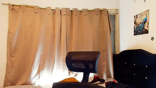 jimmy_class Webcam Show