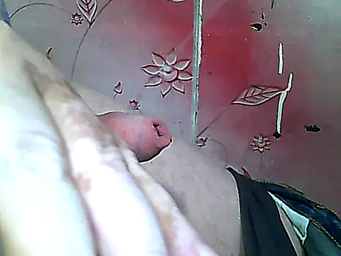 Show modela two_colour_cock na web-kameri