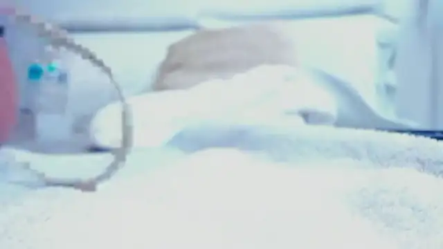 zara_lopez Obrolan Langsung XXX