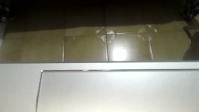 99_GANAr Show Webcam