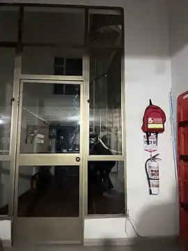 Antonella_Julieta 网络视讯表演