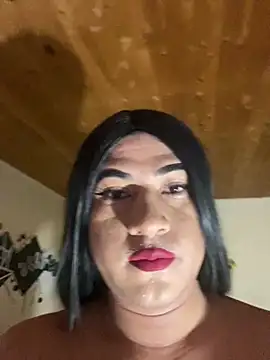 عرض كام Cataleya_nova