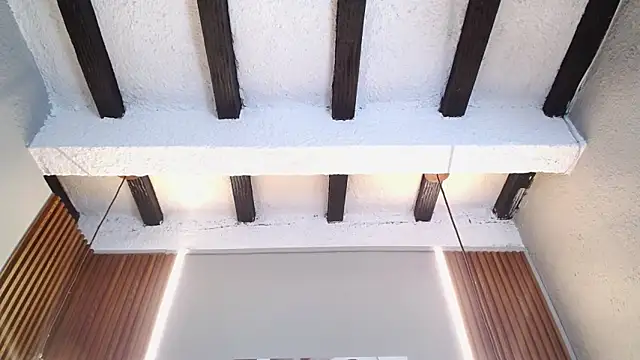 Doll4anall webkamerás műsora