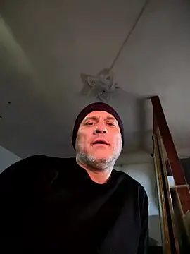 transloven Webbikameraesitys