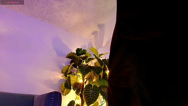 Webkamerová show VexoraNox