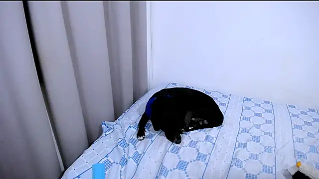 Hanny_9 Live XXX Chat