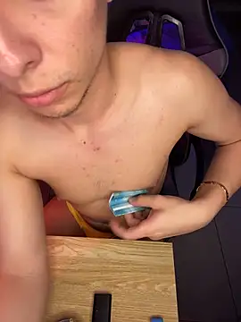 Show webcam de zamir333