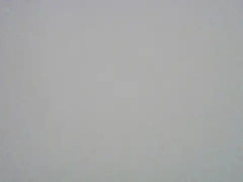 humanRobotSaki's Webcam Show