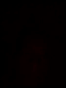 Show de webcam de engineer_1980