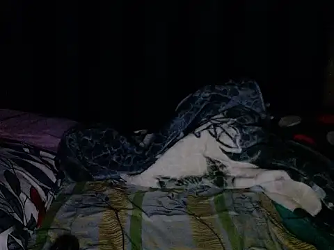 CaramelMelons78 webcam show