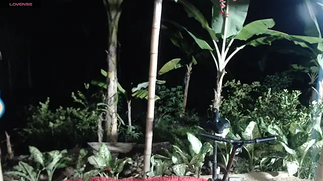 دردشة esmeralda_li الجنسية المباشرة