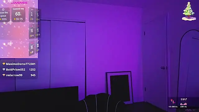 Show webcam de MSaunders