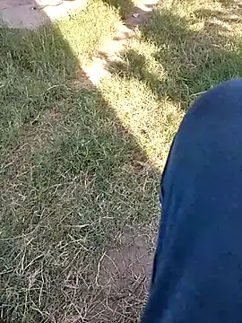 แชท XXX สดของ Pitercom