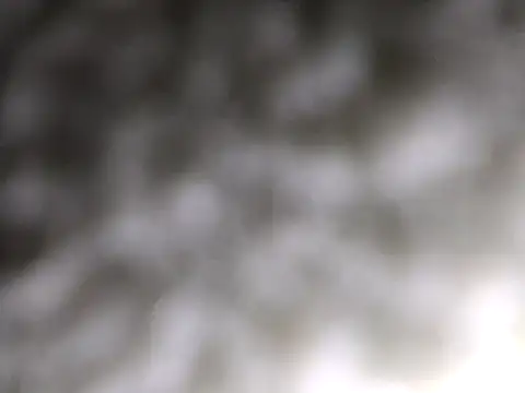 CharitableAnalog0 Show in webcam