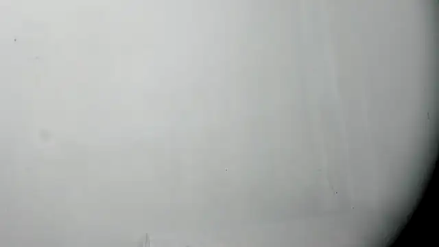 Czat XXX na żywo – Crazy_Cat1995