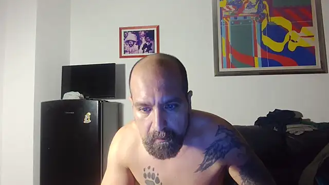 AMIRDIB2025 Webcam show