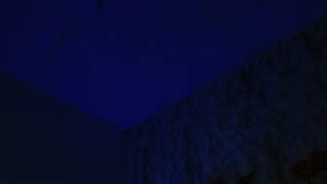 AlexaFontana Live XXX-chat