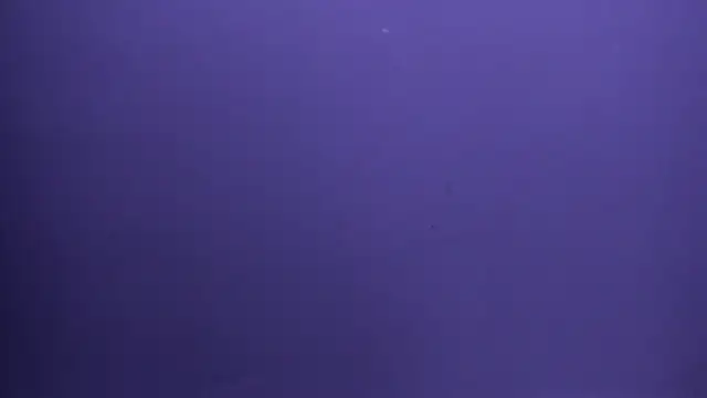 Czat XXX na żywo – Charlotte_Bms7