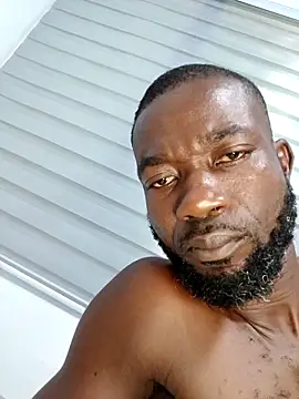 Bulletactn Webbikameraesitys