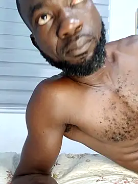 Chat +18 de Bulletact ao vivo