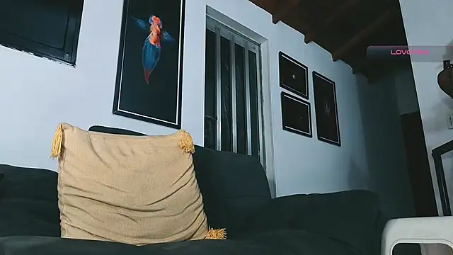 Show de SilvaBranko na webcam