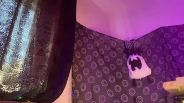 دردشة Guyst049 الجنسية المباشرة