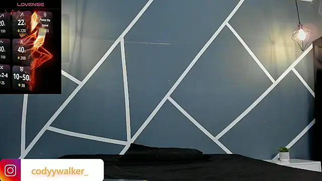 Show webcam de CodyWalkerR