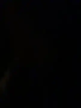 kara-tt 라이브 XXX 채팅