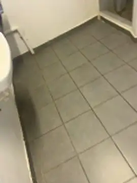 DICK5016 网络视讯表演