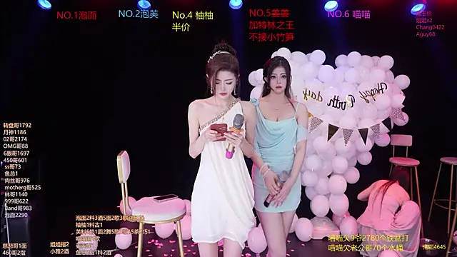 RV-525-のウェブカメラショー