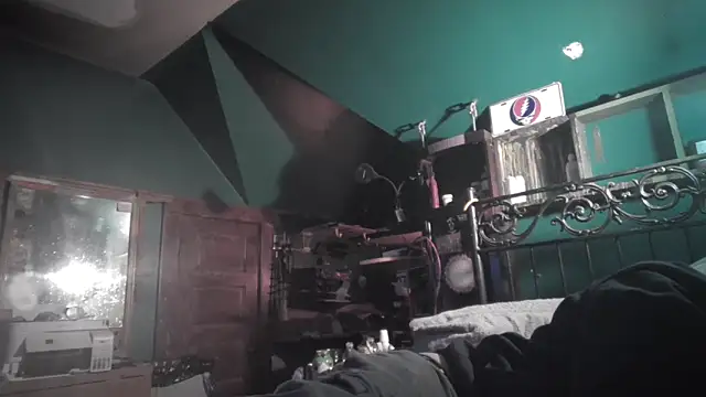 charactrzero's Webcam Show