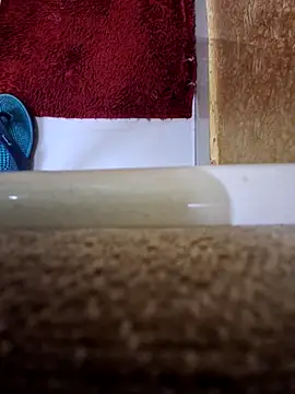 Show de SingleTest na webcam